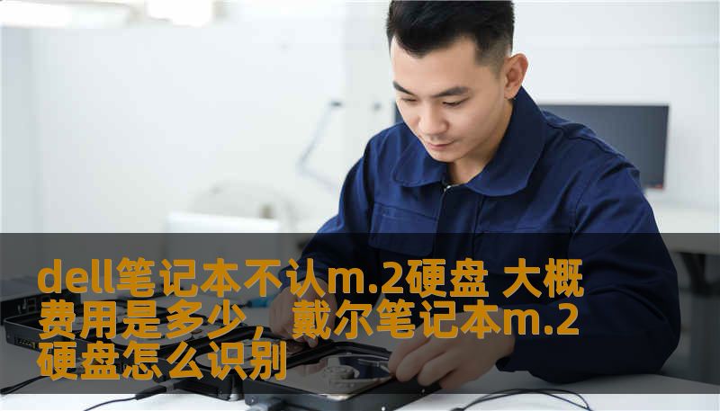 dell笔记本不认m.2硬盘 大概费用是多少,戴尔笔记本m.2硬盘怎么识别 dell笔记本不认m.2硬盘 大概费用是多少,戴尔笔记本m.2硬盘怎么识别