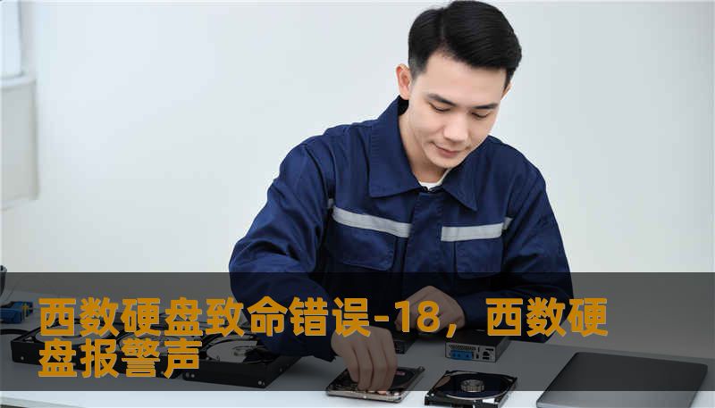 西数硬盘致命错误-18,西数硬盘报警声 西数硬盘致命错误-18,西数硬盘报警声
