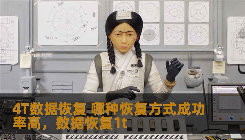4T数据恢复 哪种恢复方式成功率高，数据恢复1t