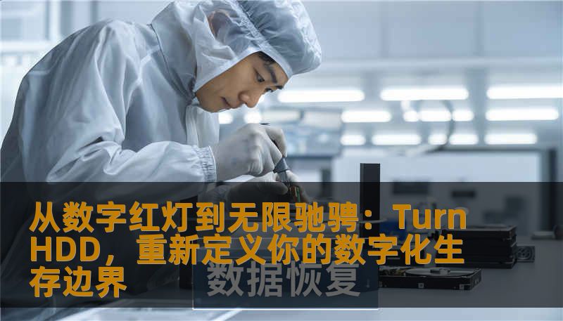 从数字红灯到无限驰骋:TurnHDD,重新定义你的数字化生存边界 从数字红灯到无限驰骋:TurnHDD,重新定义你的数字化生存边界