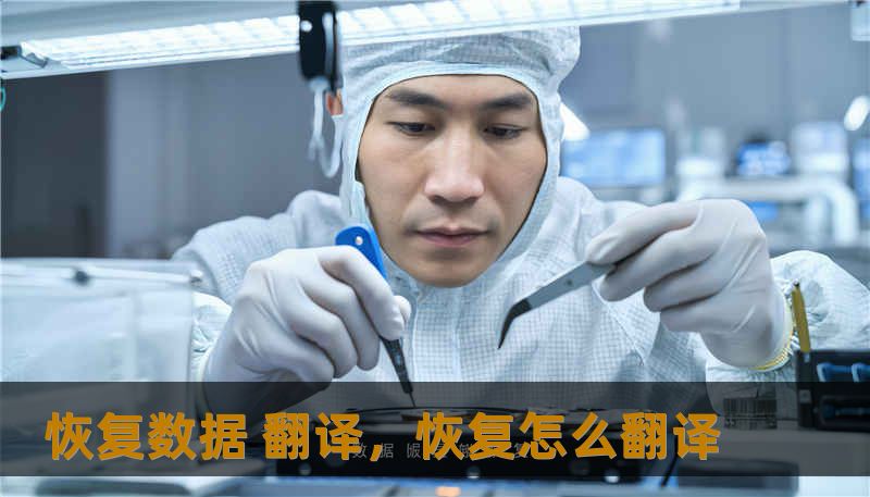 恢复数据 翻译，恢复怎么翻译