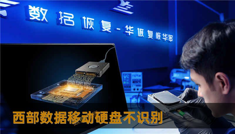 西部数据移动硬盘不识别 西部数据移动硬盘不识别