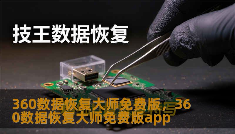 360数据恢复大师免费版，360数据恢复大师免费版app
