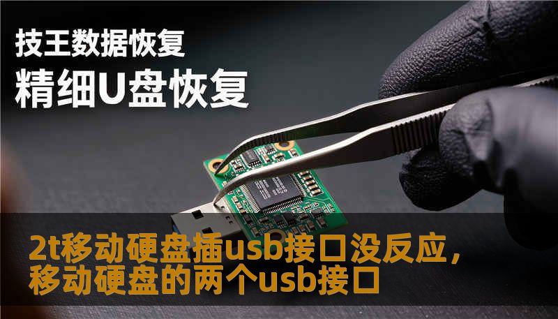 2t移动硬盘插usb接口没反应,移动硬盘的两个usb接口 2t移动硬盘插usb接口没反应,移动硬盘的两个usb接口