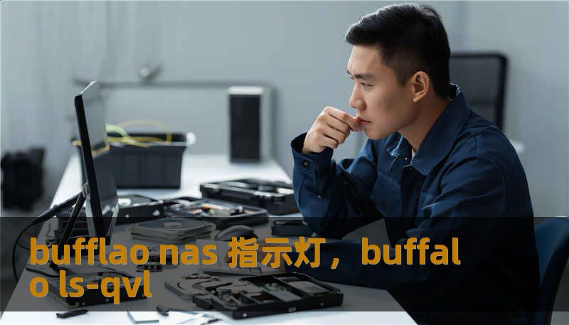 bufflao nas 指示灯，buffalo ls-qvl