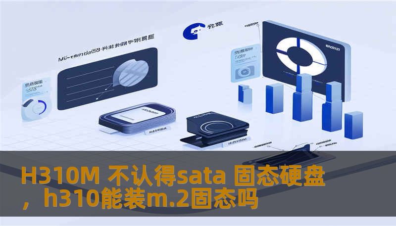 H310M 不认得sata 固态硬盘，h310能装m.2固态吗