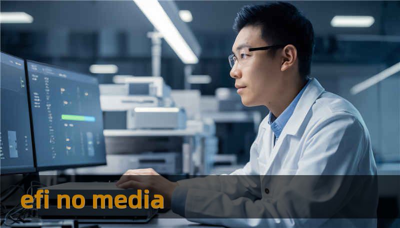 efi no media