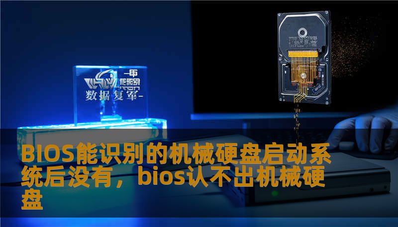 BIOS能识别的机械硬盘启动系统后没有，bios认不出机械硬盘