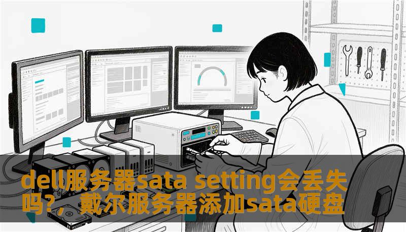 dell服务器sata setting会丢失吗?，戴尔服务器添加sata硬盘
