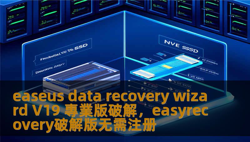 easeus data recovery wizard V19 專業版破解，easyrecovery破解版无需注册