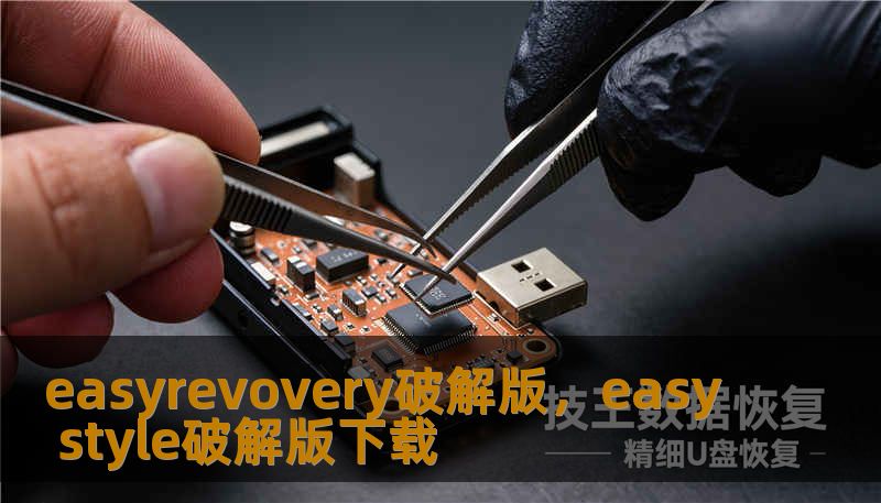 easyrevovery破解版,easy style破解版下载 easyrevovery破解版,easy style破解版下载