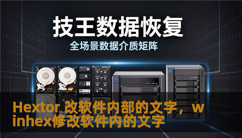 Hextor 改软件内部的文字，winhex修改软件内的文字_恢复教程_恢复资讯_技王数据恢复-技王数据恢复中心