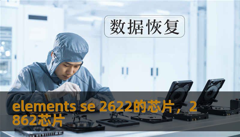 elements se 2622的芯片，2862芯片