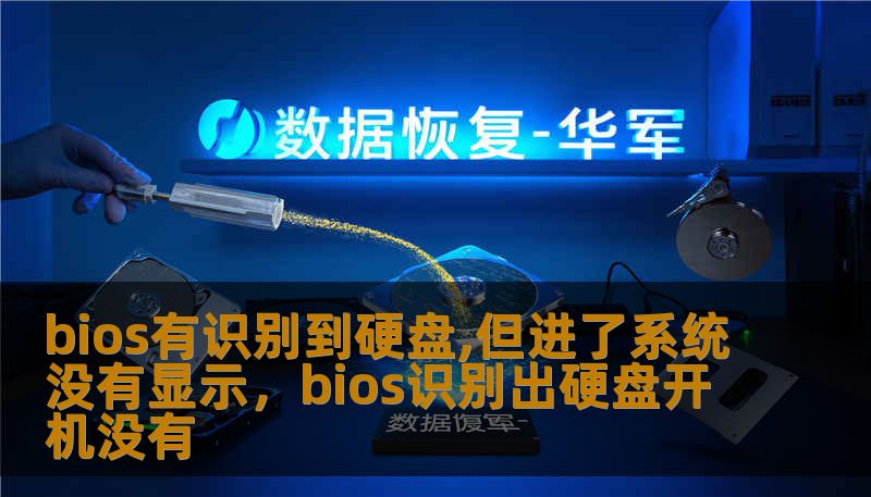 bios有识别到硬盘,但进了系统没有显示，bios识别出硬盘开机没有