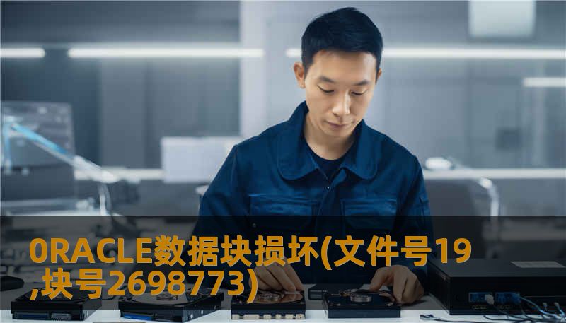 0RACLE数据块损坏(文件号19,块号2698773)