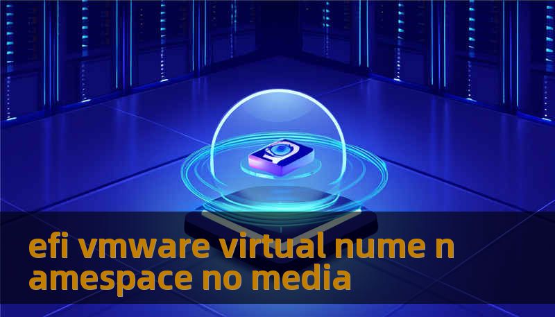 efi vmware virtual nume namespace no media