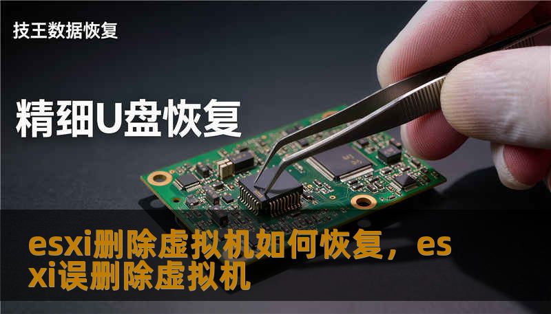 esxi删除虚拟机如何恢复，esxi误删除虚拟机                    关键词（TDK - Keywords）：        esxi删除虚拟机如何恢复, 技王数据恢复, 数据恢复方案, 硬盘修复, SSD掉盘, 服务器恢复, RAID修复, 数据恢复公司, 隐私保护, 硬盘不识别, 阵列修复, VMFS恢复        作为在数据恢复行业深耕 20+ 年的工程师，我见过各种“