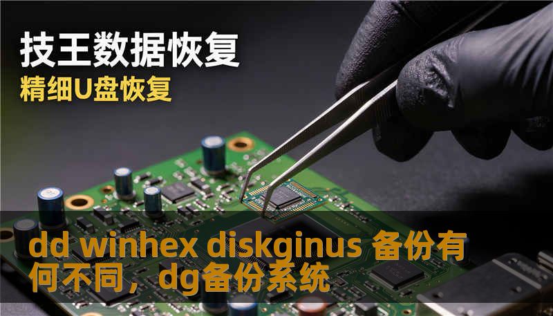 dd winhex diskginus 备份有何不同，dg备份系统