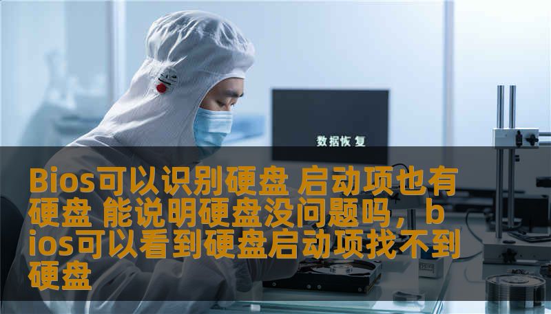 Bios可以识别硬盘 启动项也有硬盘 能说明硬盘没问题吗，bios可以看到硬盘启动项找不到硬盘