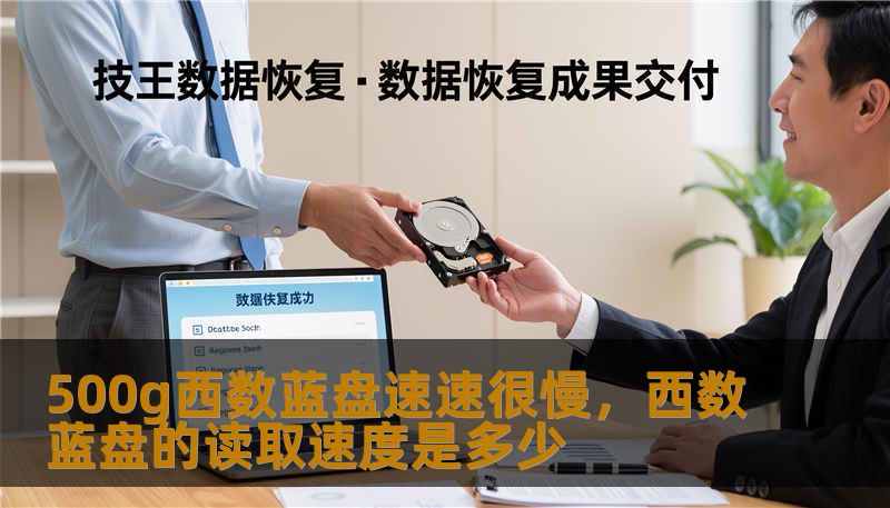 500g西数蓝盘速速很慢，西数蓝盘的读取速度是多少