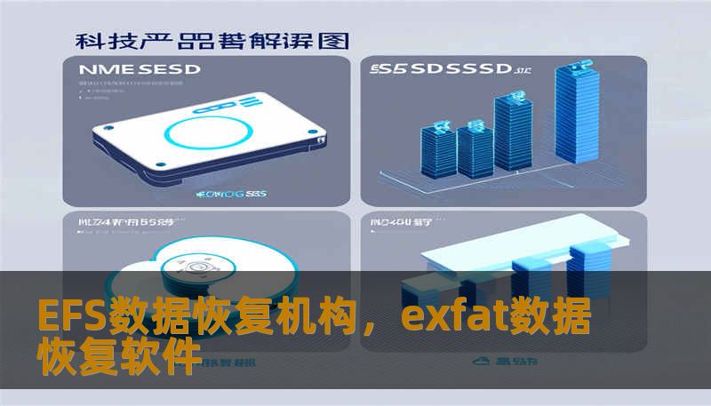 EFS数据恢复机构，exfat数据恢复软件                    Meta 描述（不超过160 字，含指定关键词）：        工作或家庭遇到EFS数据恢复机构难题？技王数据恢复提供数据恢复方案、硬盘修复、SSD掉盘修复、服务器恢复、RAID修复等服务，作为数据恢复公司保障隐私保护与透明收费，快速评估出方案。    正文    EFS数据恢复机构常见故障与成因解析（面向个人与企