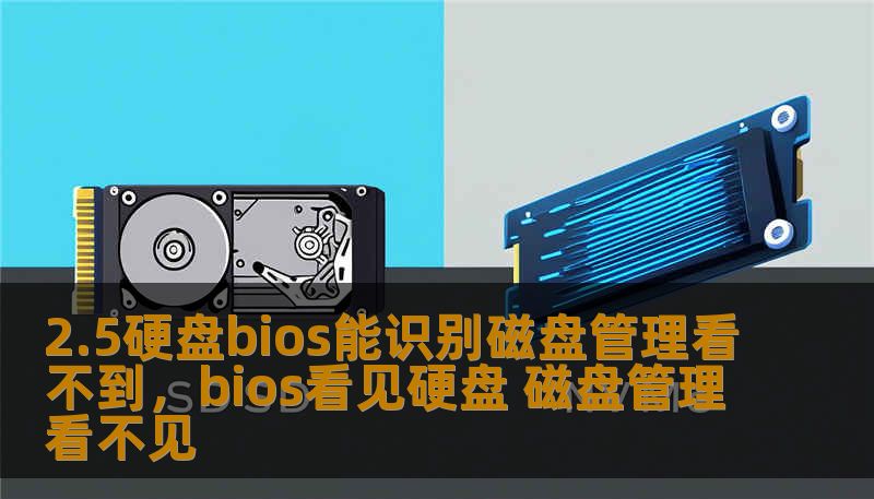 2.5硬盘bios能识别磁盘管理看不到，bios看见硬盘 磁盘管理看不见
