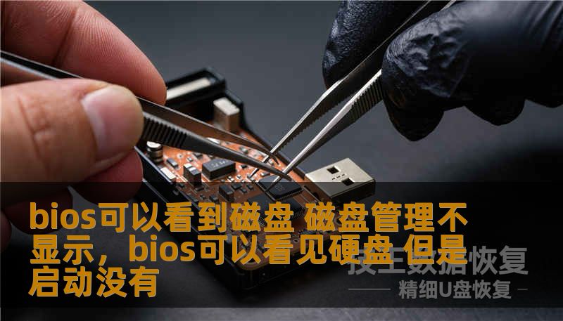 bios可以看到磁盘 磁盘管理不显示，bios可以看见硬盘 但是启动没有