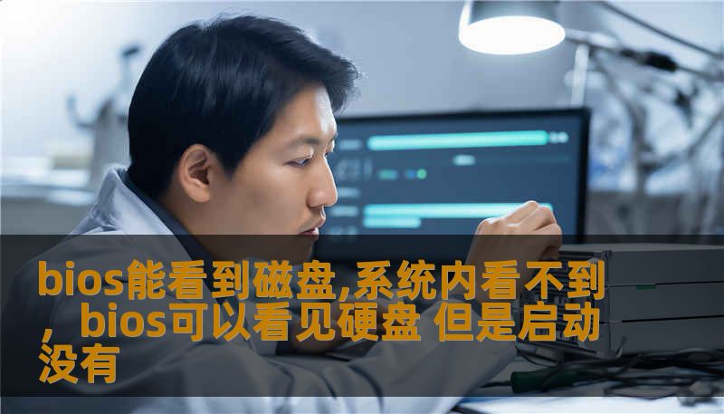 bios能看到磁盘,系统内看不到，bios可以看见硬盘 但是启动没有