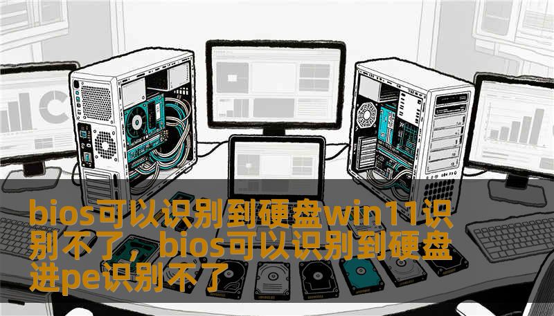 bios可以识别到硬盘win11识别不了，bios可以识别到硬盘进pe识别不了
