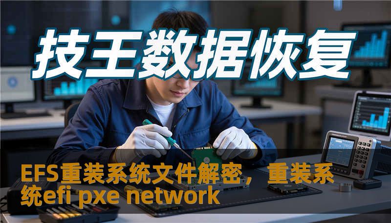 EFS重装系统文件解密，重装系统efi pxe network