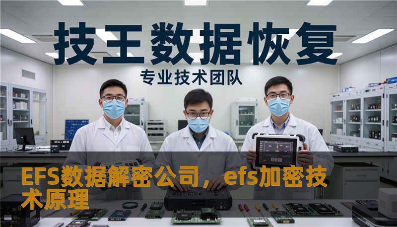 EFS数据解密公司，efs加密技术原理