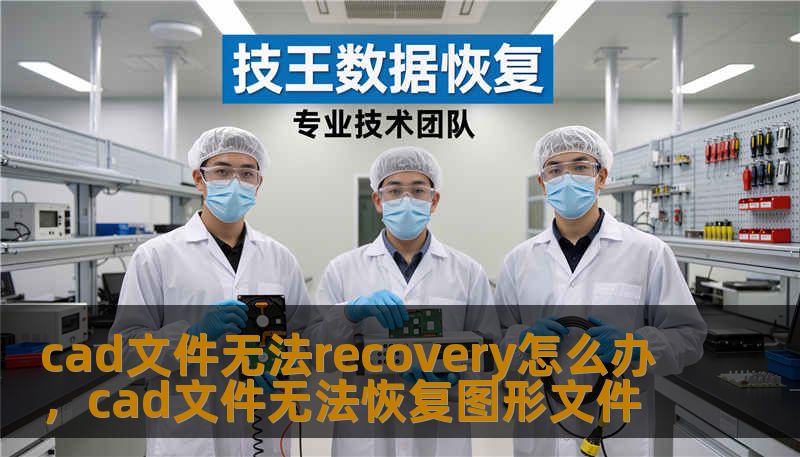 cad文件无法recovery怎么办，cad文件无法恢复图形文件