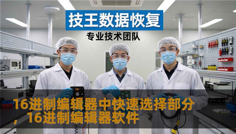 16进制编辑器中快速选择部分，16进制编辑器软件