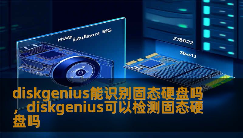 diskgenius能识别固态硬盘吗，diskgenius可以检测固态硬盘吗