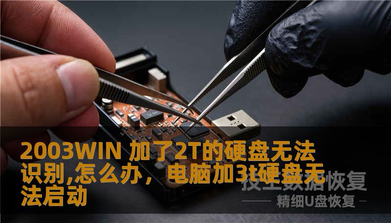 2003WIN 加了2T的硬盘无法识别,怎么办，电脑加3t硬盘无法启动
