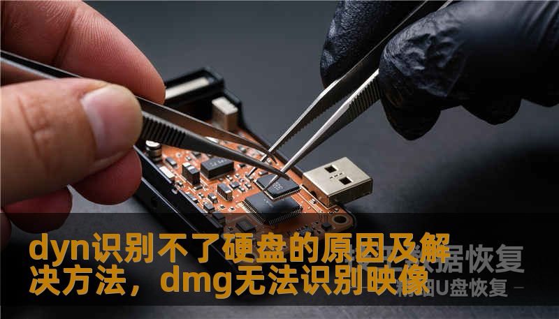 dyn识别不了硬盘的原因及解决方法,dmg无法识别映像 dyn识别不了硬盘的原因及解决方法,dmg无法识别映像