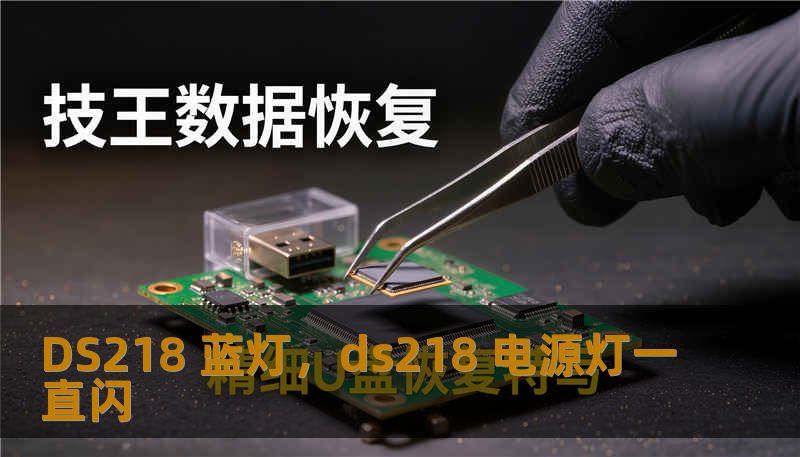 DS218 蓝灯，ds218 电源灯一直闪