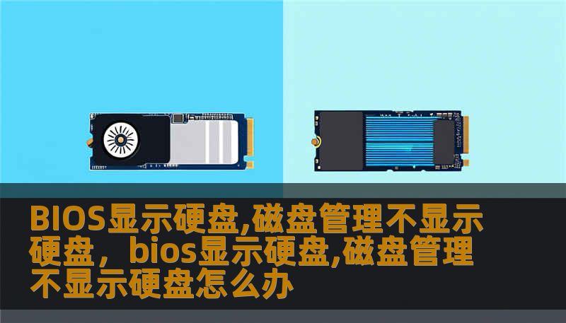 BIOS显示硬盘,磁盘管理不显示硬盘，bios显示硬盘,磁盘管理不显示硬盘怎么办