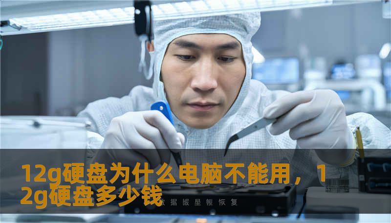 12g硬盘为什么电脑不能用，12g硬盘多少钱