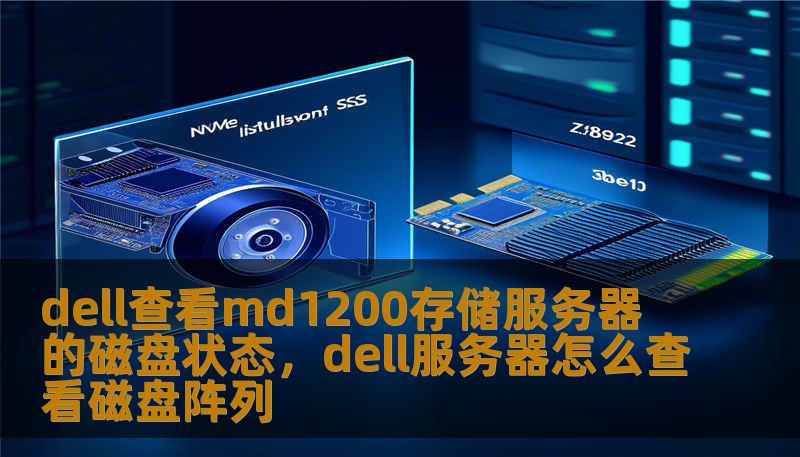 dell查看md1200存储服务器的磁盘状态，dell服务器怎么查看磁盘阵列