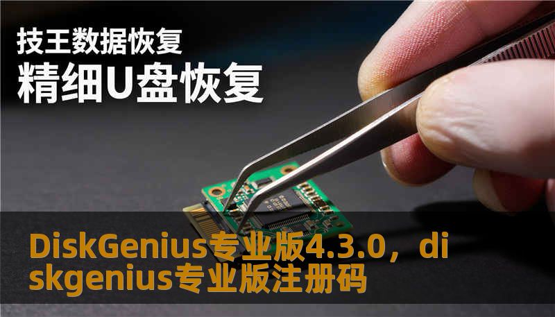 DiskGenius专业版4.3.0，diskgenius专业版注册码