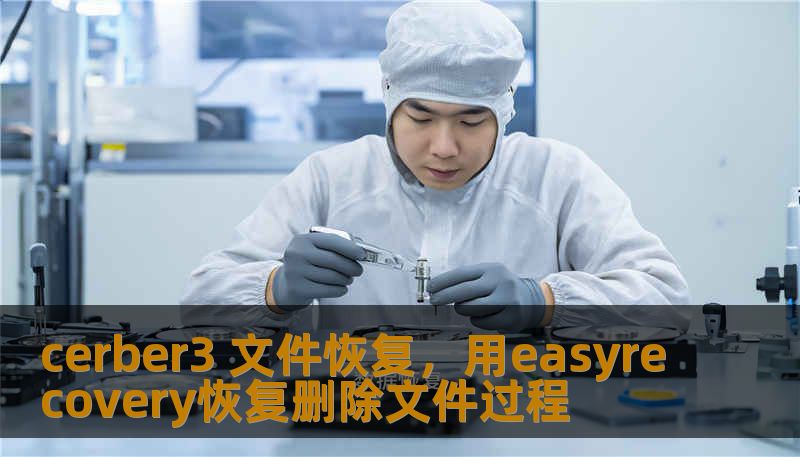 cerber3 文件恢复，用easyrecovery恢复删除文件过程