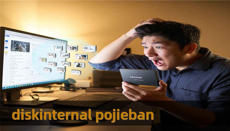 diskinternal pojieban