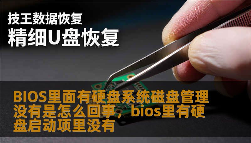 BIOS里面有硬盘系统磁盘管理没有是怎么回事，bios里有硬盘启动项里没有