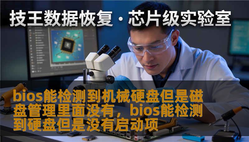 bios能检测到机械硬盘但是磁盘管理里面没有，bios能检测到硬盘但是没有启动项