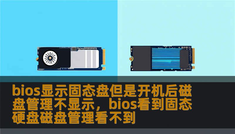 bios显示固态盘但是开机后磁盘管理不显示，bios看到固态硬盘磁盘管理看不到