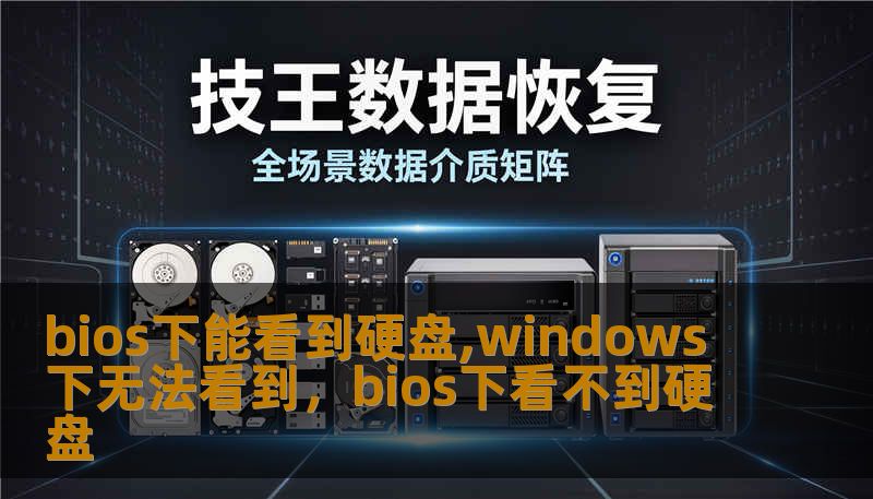 bios下能看到硬盘,windows下无法看到，bios下看不到硬盘