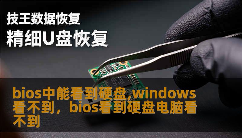 bios中能看到硬盘,windows看不到，bios看到硬盘电脑看不到