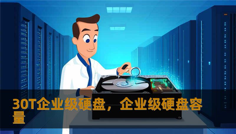 30T企业级硬盘，企业级硬盘容量