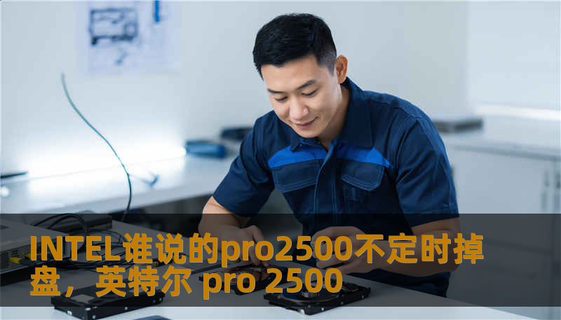 INTEL谁说的pro2500不定时掉盘，英特尔 pro 2500